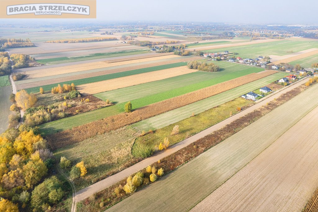 Działka budowlana na sprzedaż Nowe Faszczyce  16 700m2 Foto 6