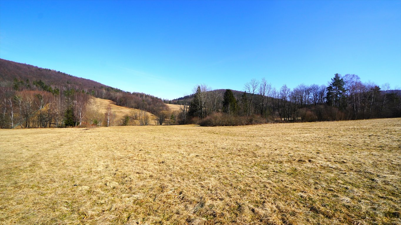 Działka rolna 3,5 ha z widokami - prąd, las, spokój Regietów  35 000m2 Foto 1