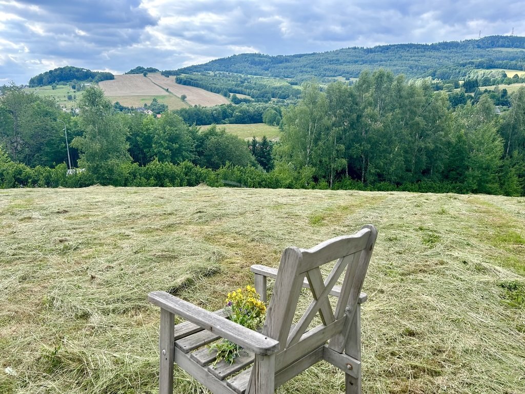 Lokal użytkowy na sprzedaż Dziwiszów  1 200m2 Foto 3