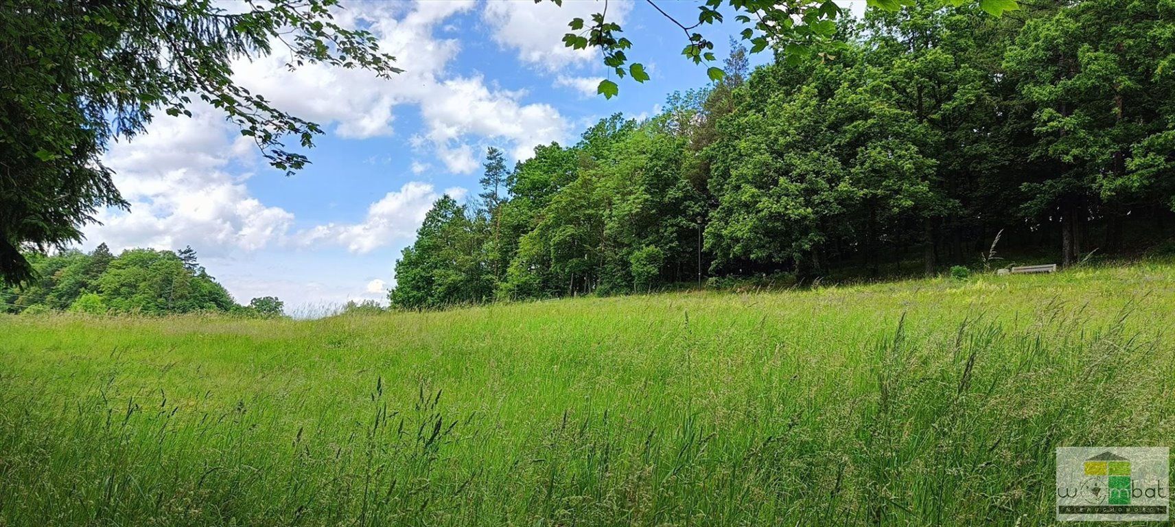 Działka budowlana na sprzedaż Szczawno-Zdrój  131 985m2 Foto 8