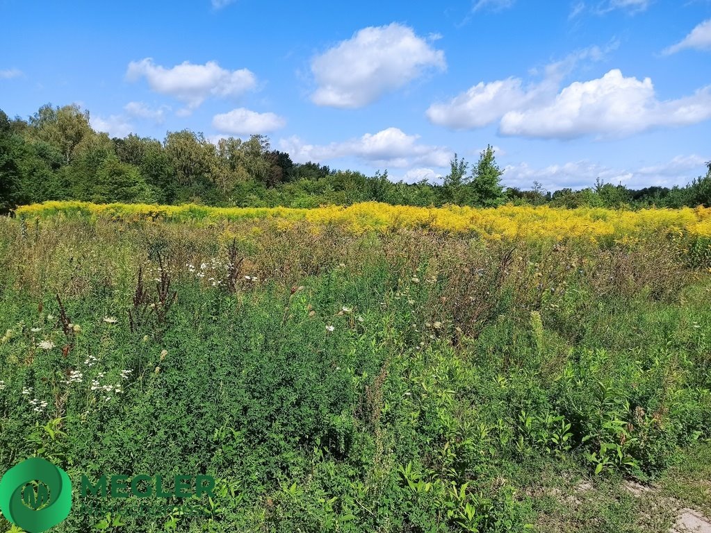 Działka budowlana na sprzedaż Granica  900m2 Foto 5