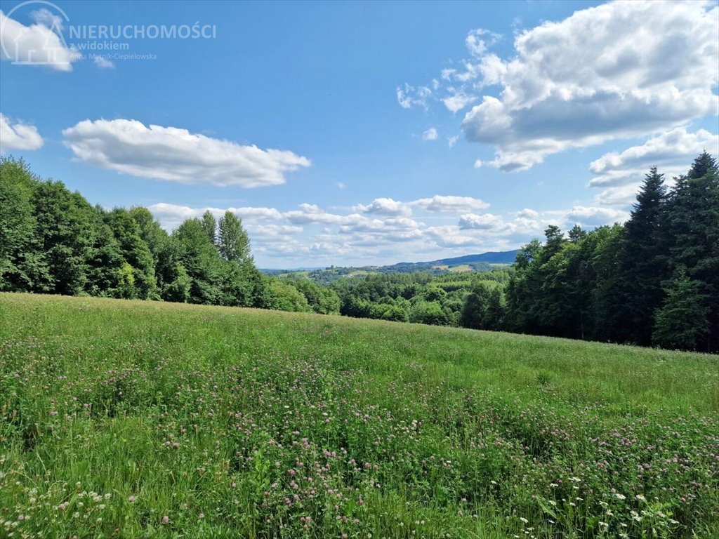 Działka budowlana na sprzedaż Błażkowa  2 559m2 Foto 5