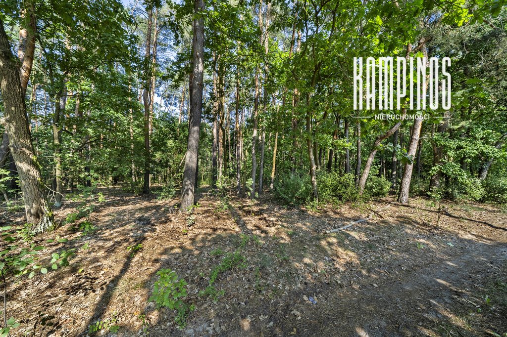Do sprzedania działka 2000 m² w Hornówku z dostępem do mediów: Hornówek: Malinowa