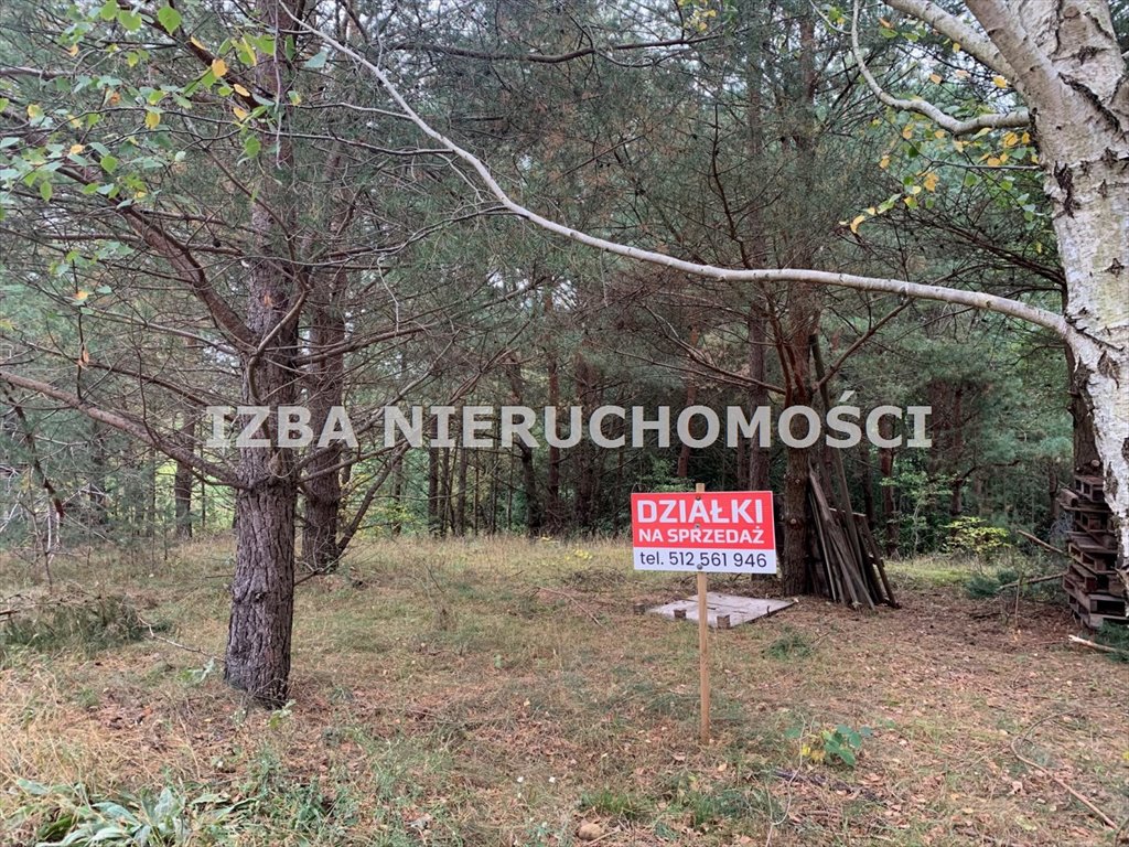 Działka rekreacyjna na sprzedaż Barany  3 001m2 Foto 1