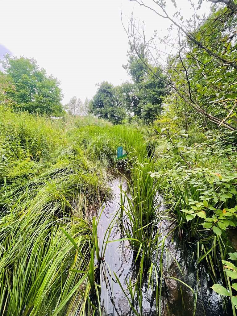 Działka budowlana na sprzedaż Miłkowiec  3 000m2 Foto 9