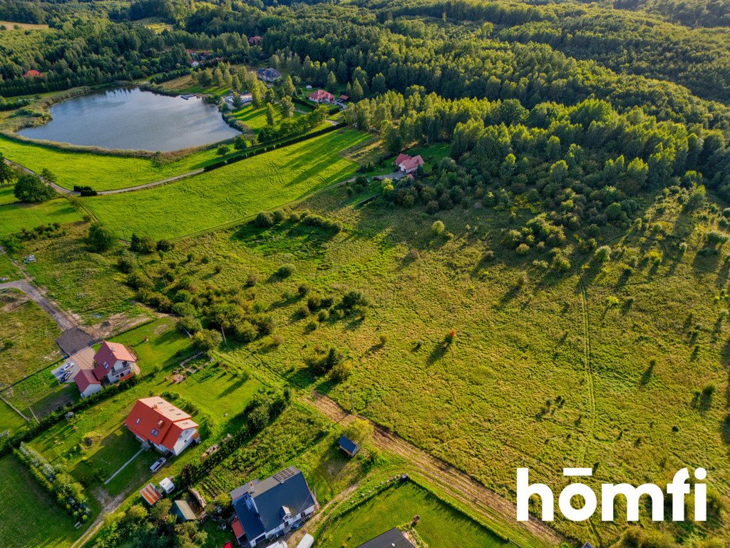 Działka budowlana na sprzedaż Jagodnik  17 219m2 Foto 6