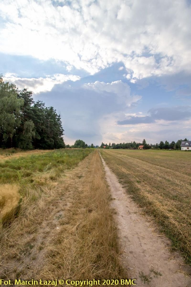 Działka budowlana na sprzedaż Pawełki  1 293m2 Foto 8