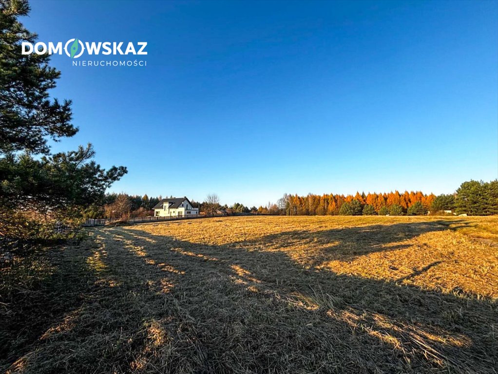 Działka przemysłowo-handlowa na sprzedaż Choroń, Częstochowska  16 000m2 Foto 5