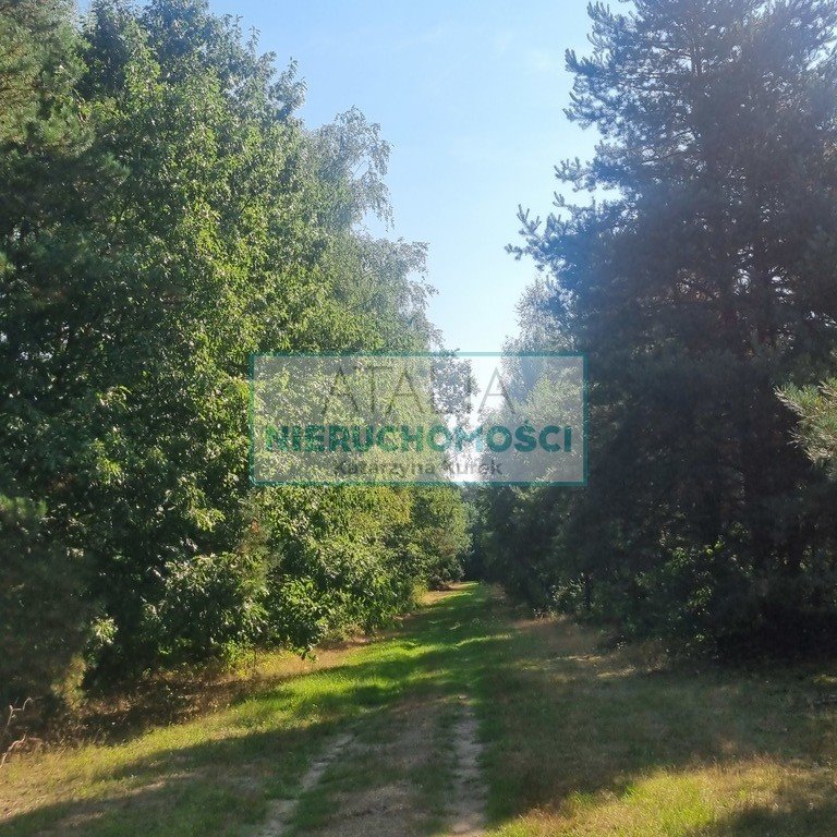 Działka leśna z dostępem do rzeki - MPZP - 11 290 m² Prace Duże  11 290m2 Foto 1