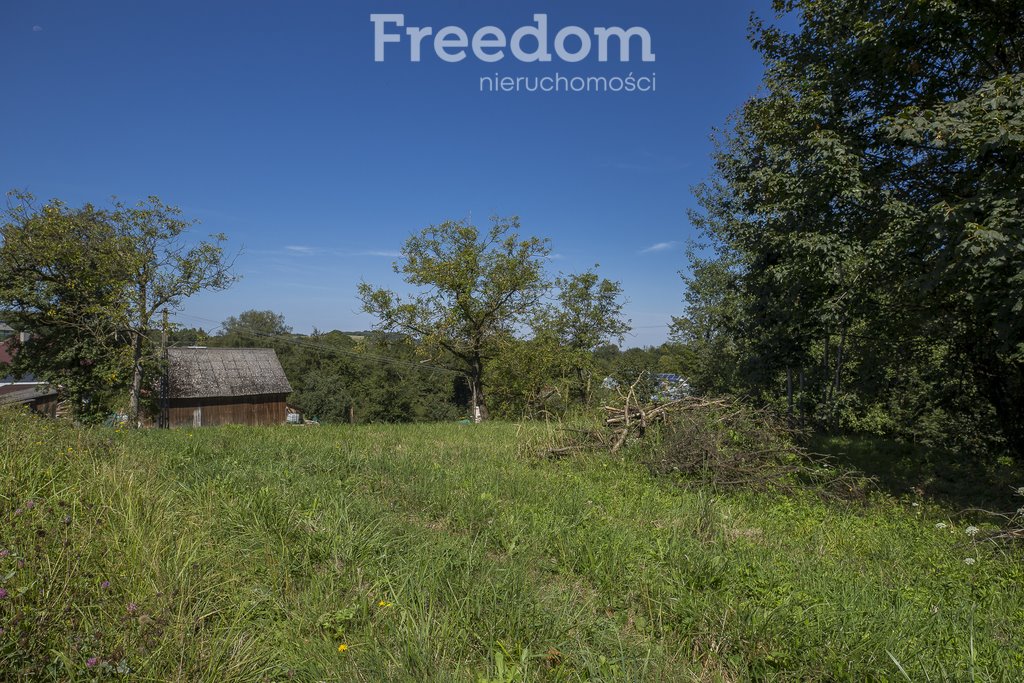 Działka budowlana na sprzedaż Futoma  3 298m2 Foto 4