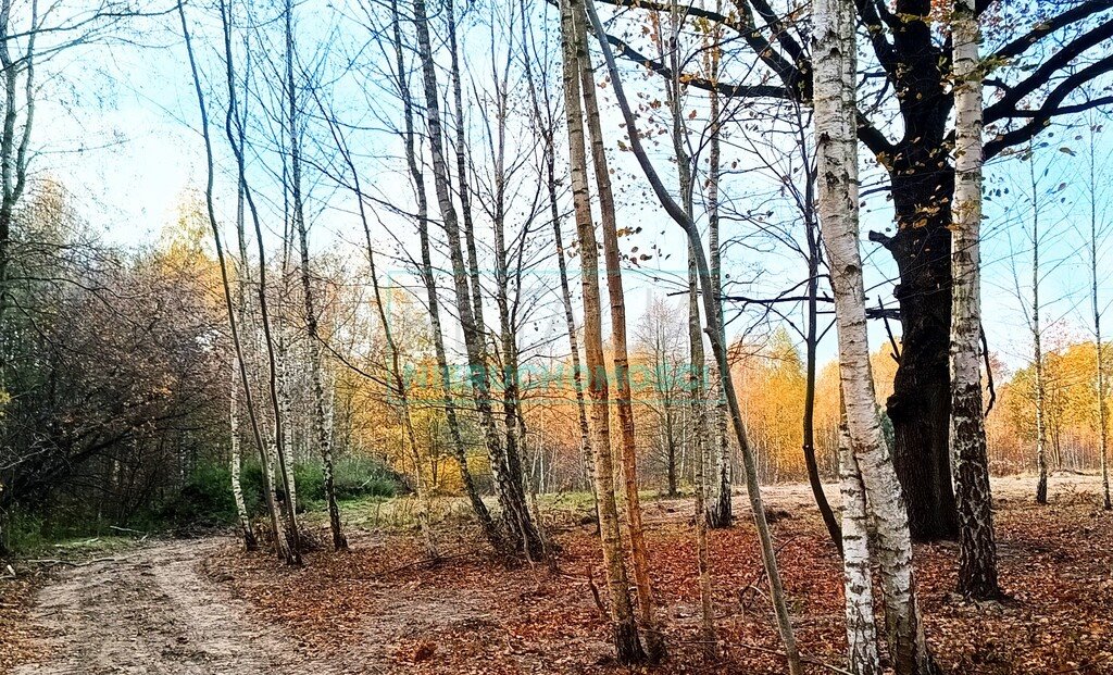 Działka budowlana na sprzedaż Radonie  1 500m2 Foto 8