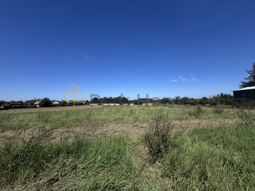 Działka 59,76 arów - Głogów Krzepów - media i dostęp Głogów, Krzepów  5 976m2 Foto 1