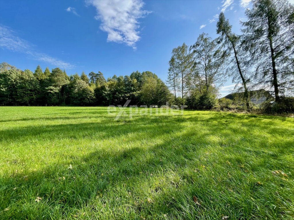 Działka inwestycyjna na sprzedaż Chybie, św. Huberta  20 487m2 Foto 2