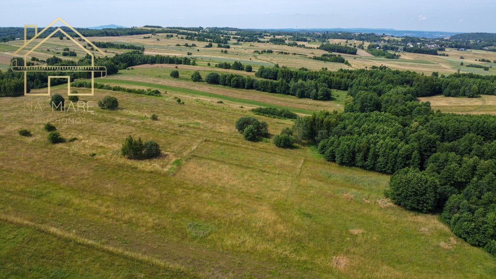 Działka rolna na sprzedaż Łężyny  1 500m2 Foto 7