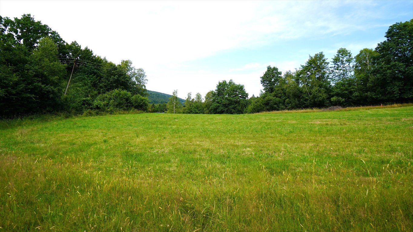 Działka budowlana na sprzedaż Ropica Górna  1 590m2 Foto 3