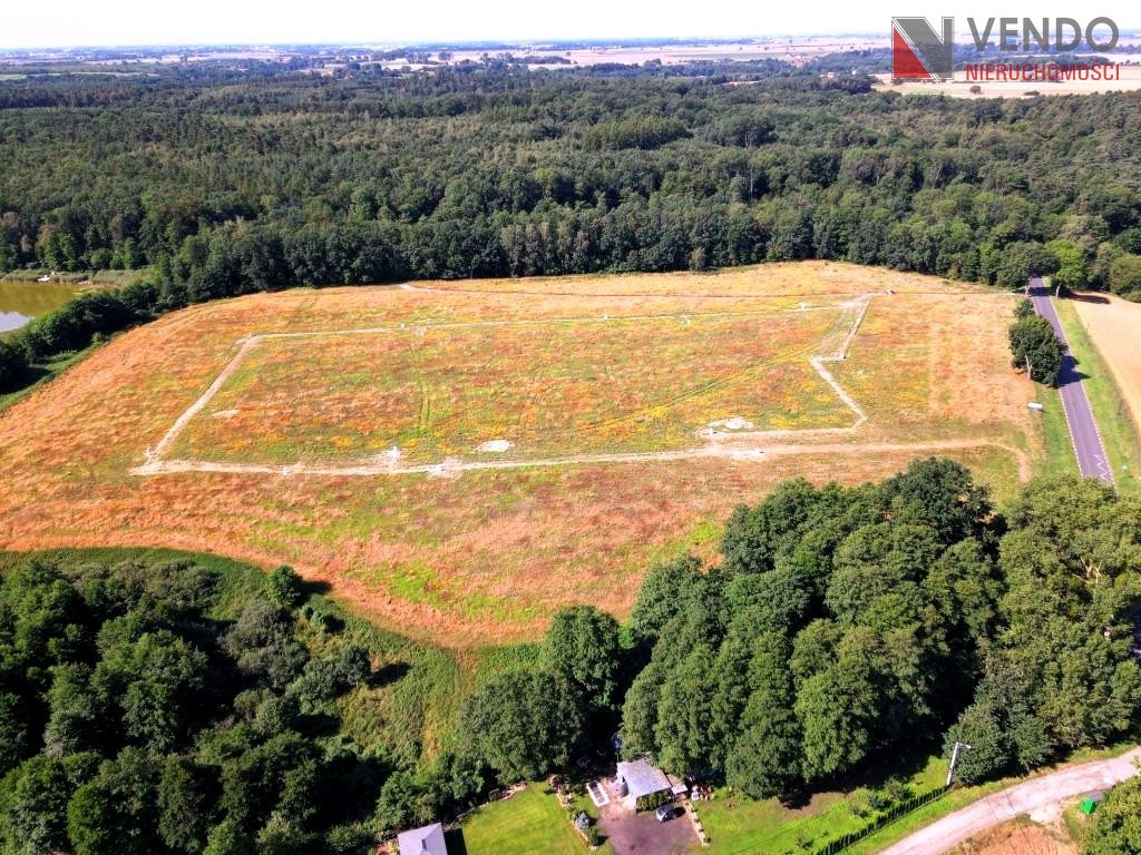 Działka budowlana na sprzedaż Pobiedziska  2 594m2 Foto 1