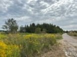 Zapraszam do zakupu działki 1500 m² pod dom i usługi w Woli Krakowiańskiej Wola Krakowiańska, Wola Krakowiańska  1 500m2 Foto 1