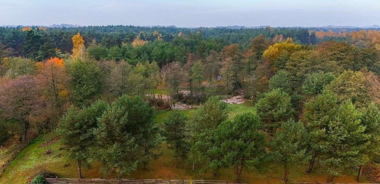 Działka budowlana na sprzedaż Niwy Ostrołęckie  2 385m2 Foto 14