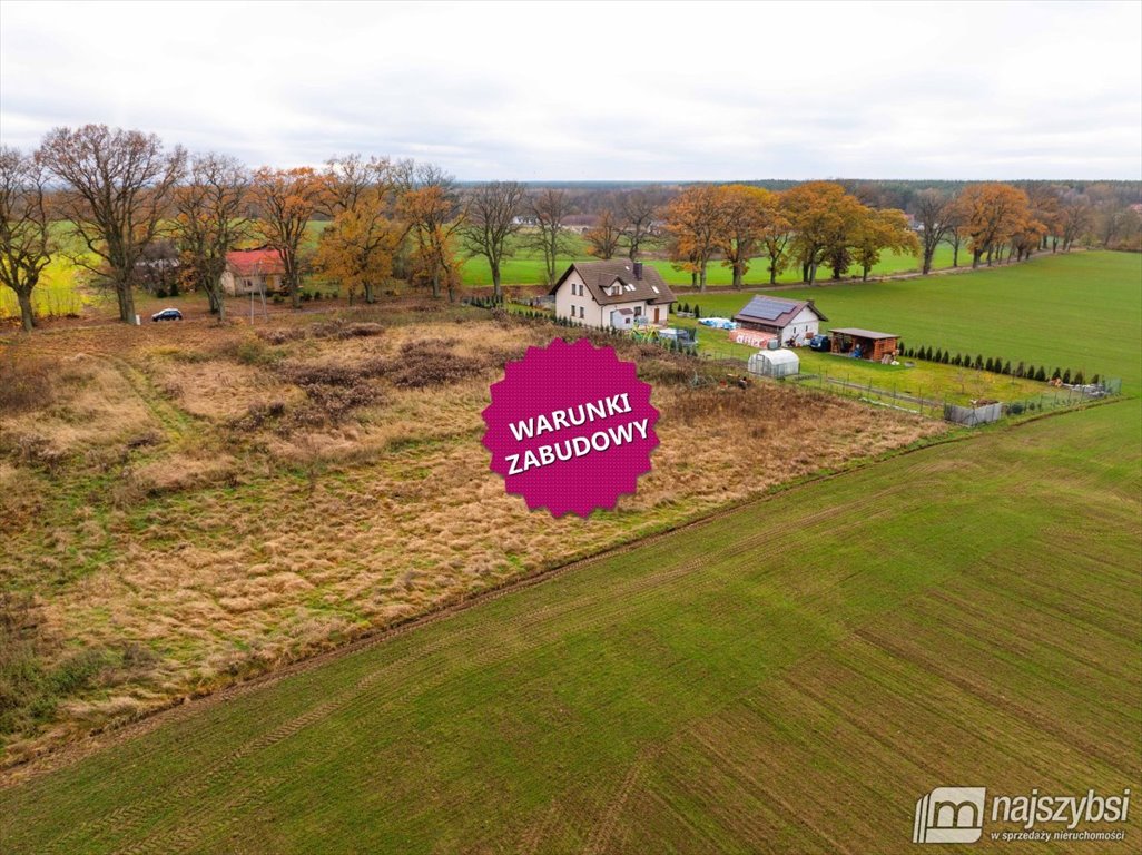 Działka budowlana 3200 m2 w Tarnówku z warunkami zabudowy Tarnówko  3 200m2 Foto 1