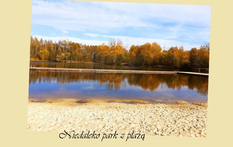 Mieszkanie trzypokojowe na sprzedaż Częstochowa, Śródmieście  66m2 Foto 4