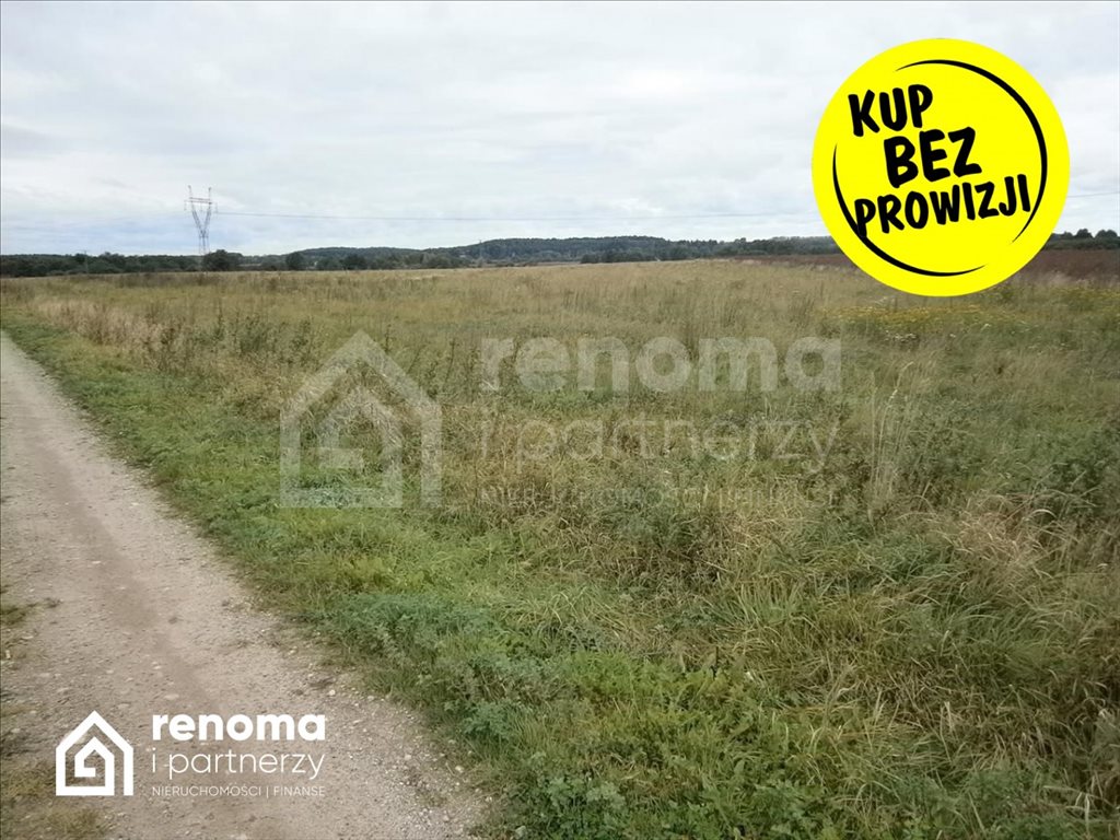 Działka gospodarstwo rolne na sprzedaż Chwarstno  259 000m2 Foto 3