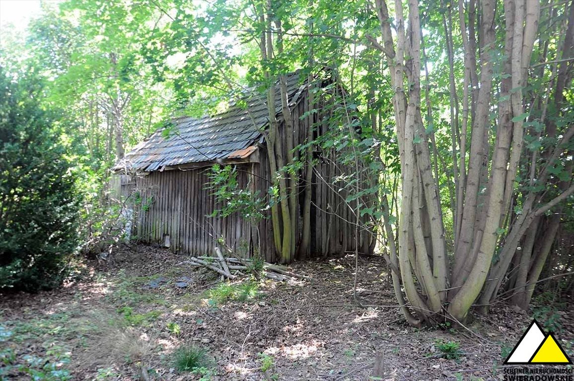 Działka budowlana na sprzedaż Mroczkowice  6 460m2 Foto 13