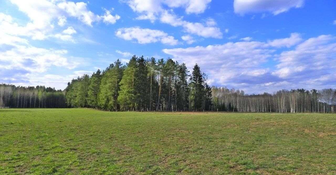 Działka rolna na sprzedaż Walne  3 500m2 Foto 13