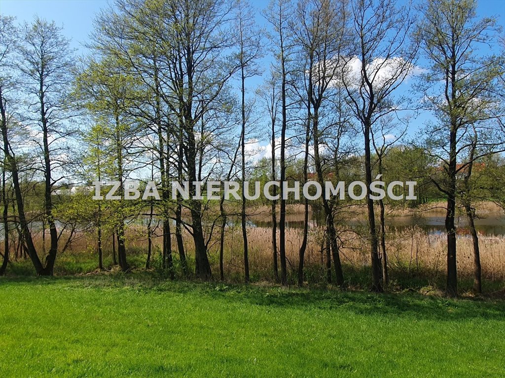 Działka rekreacyjna na sprzedaż Grabnik  3 000m2 Foto 14