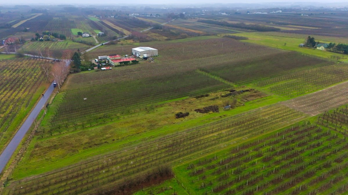 Działka budowlana na sprzedaż Warpęsy  1 200m2 Foto 7