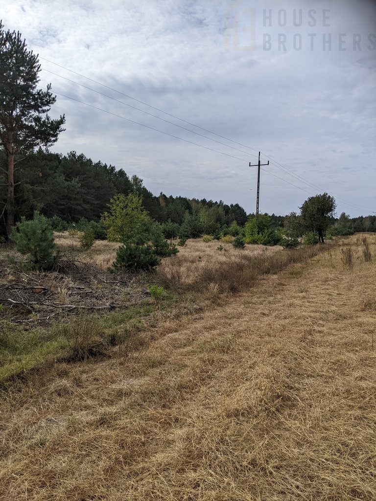 Działka rolna na sprzedaż Chełsty  3 000m2 Foto 5