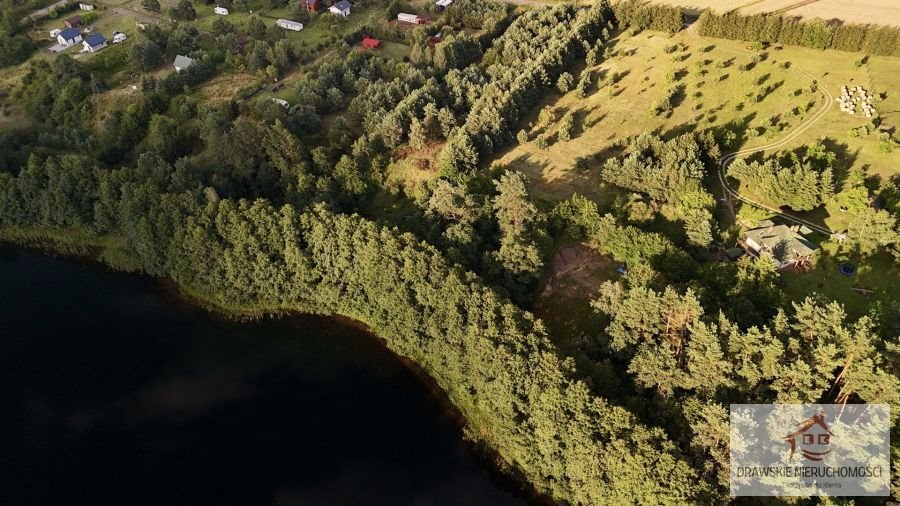 Działka rekreacyjna na sprzedaż Żabin, Żabin  668m2 Foto 7