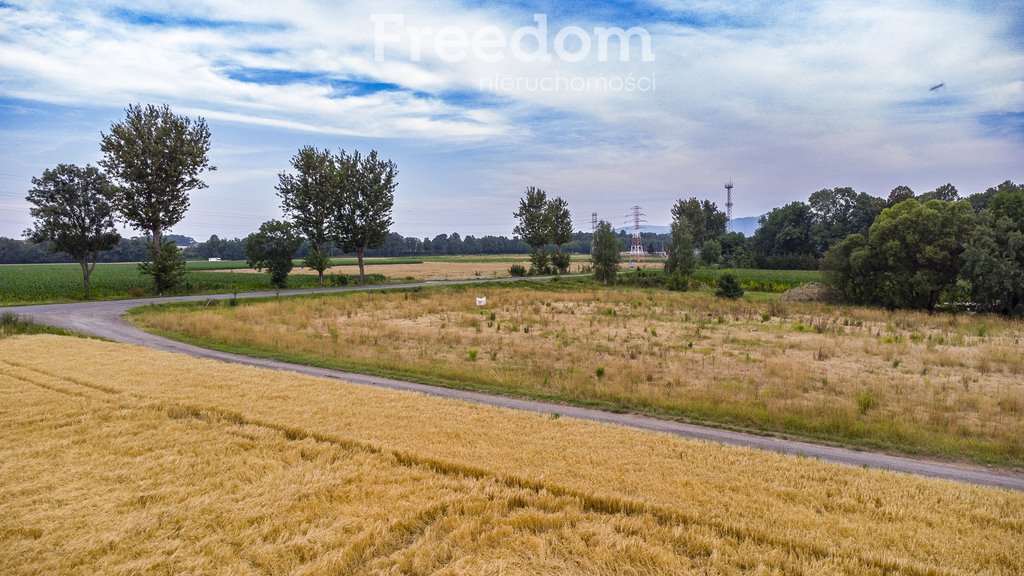 Działka budowlana na sprzedaż Głuchołazy  798m2 Foto 11