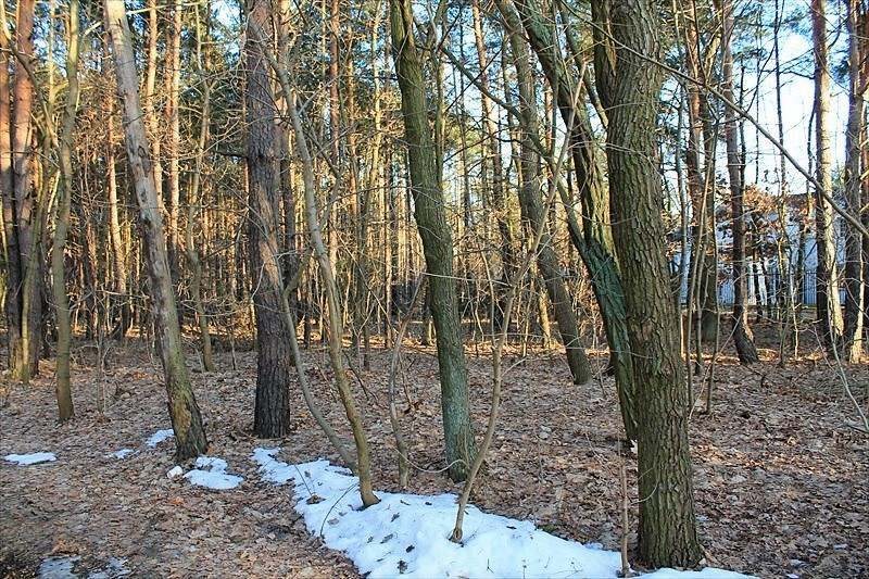 Działka budowlana na sprzedaż Warszawa, Wawer, Izbicka / Koprowa 2 275m2 Foto 1 Działka budowlana na sprzedaż Warszawa, Wawer, Izbicka / Koprowa 2 275m2 Foto 1