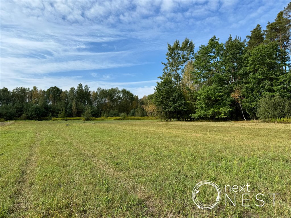 Działka budowlana na sprzedaż Grochowa  1 569m2 Foto 1