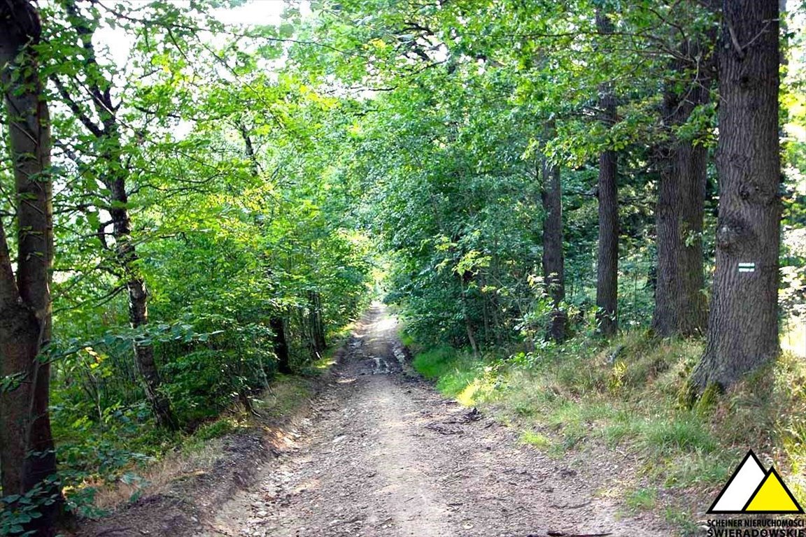 Działka rolna na sprzedaż Świeradów-Zdrój, Czerniawa-Zdrój, Czerniawa Zdrój  12 856m2 Foto 13