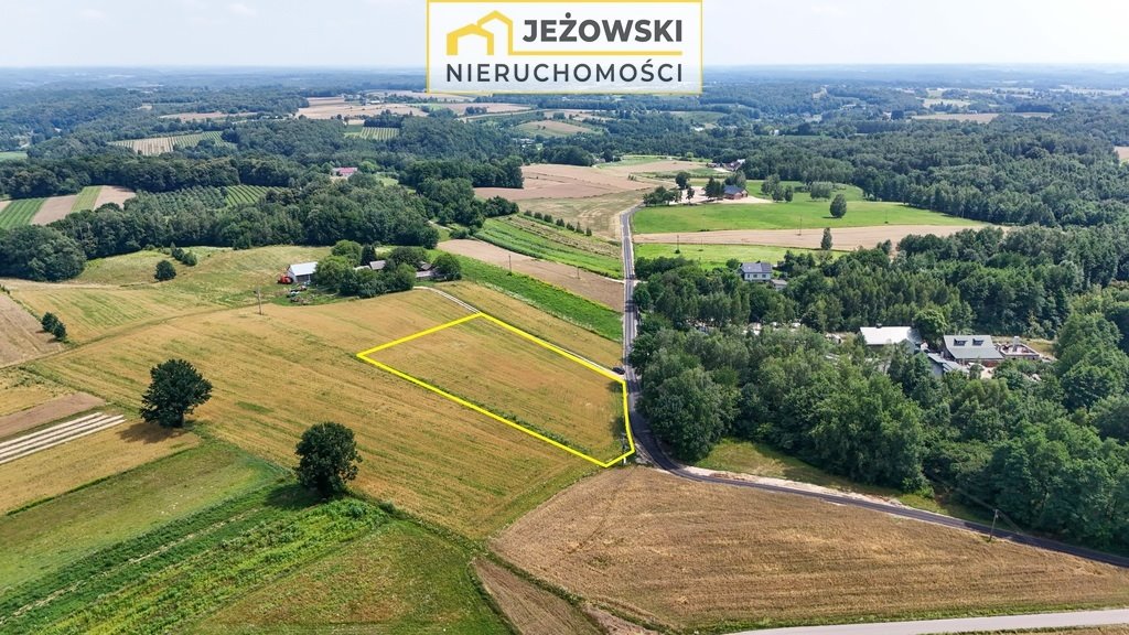 Działka rolna na sprzedaż Wierzchoniów  4 400m2 Foto 5