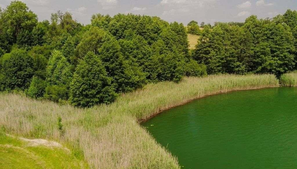 Działka rolna na sprzedaż Nawiady  1 824m2 Foto 7