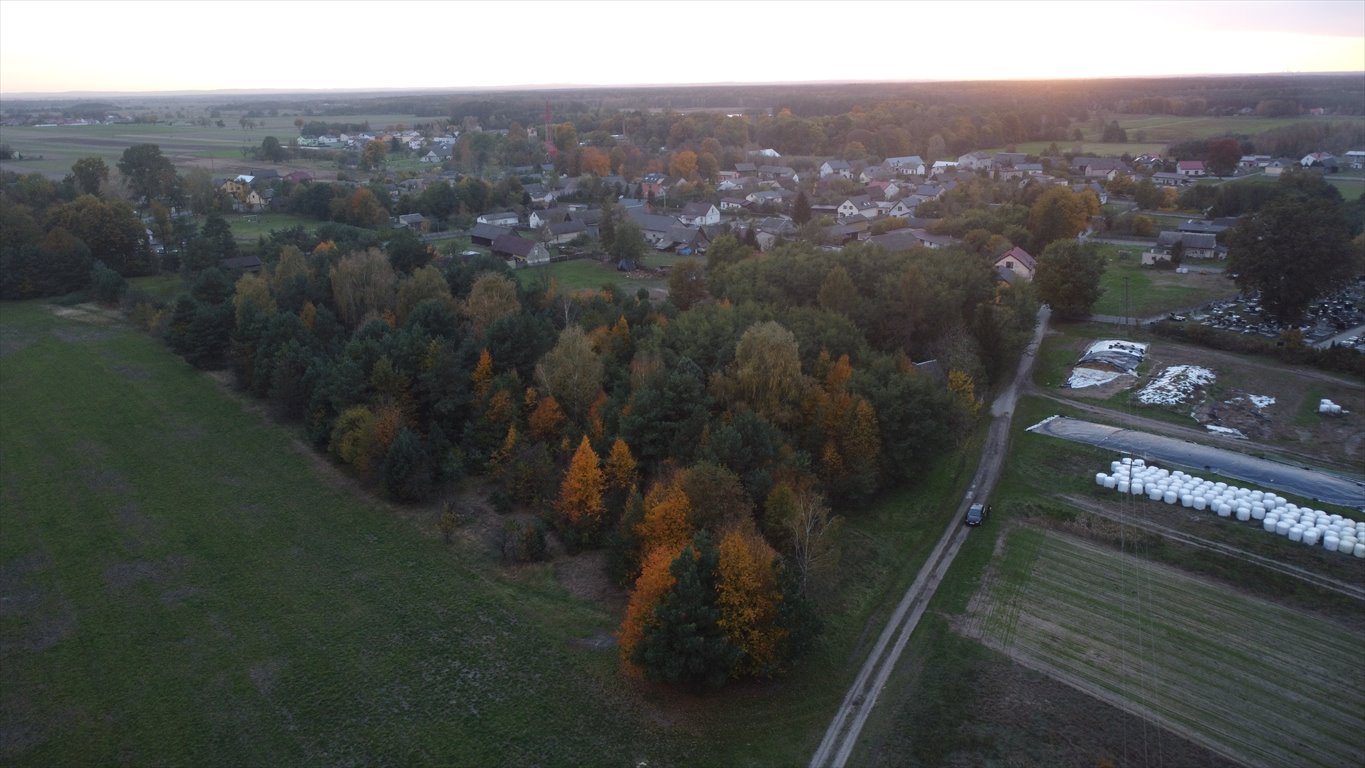 Działka budowlana na sprzedaż Cielętniki  13 500m2 Foto 11