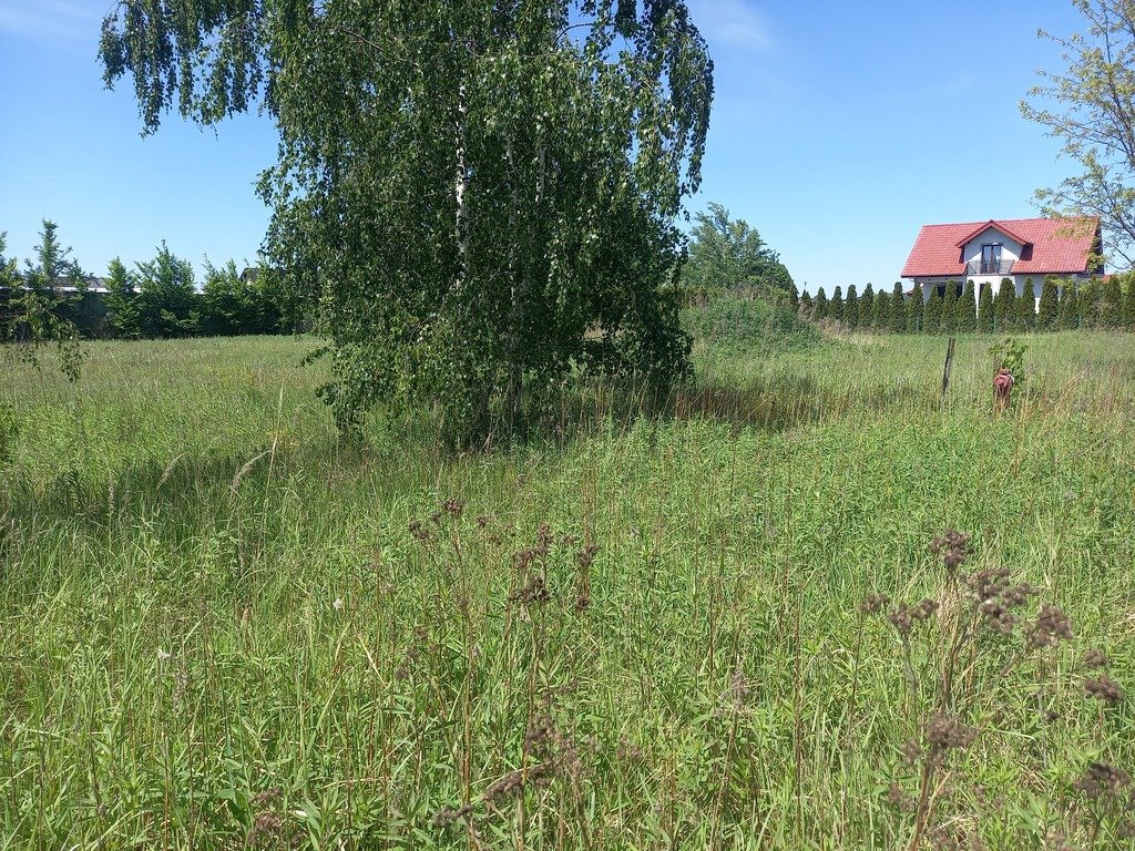 Działka budowlana na sprzedaż Byków  1 000m2 Foto 11