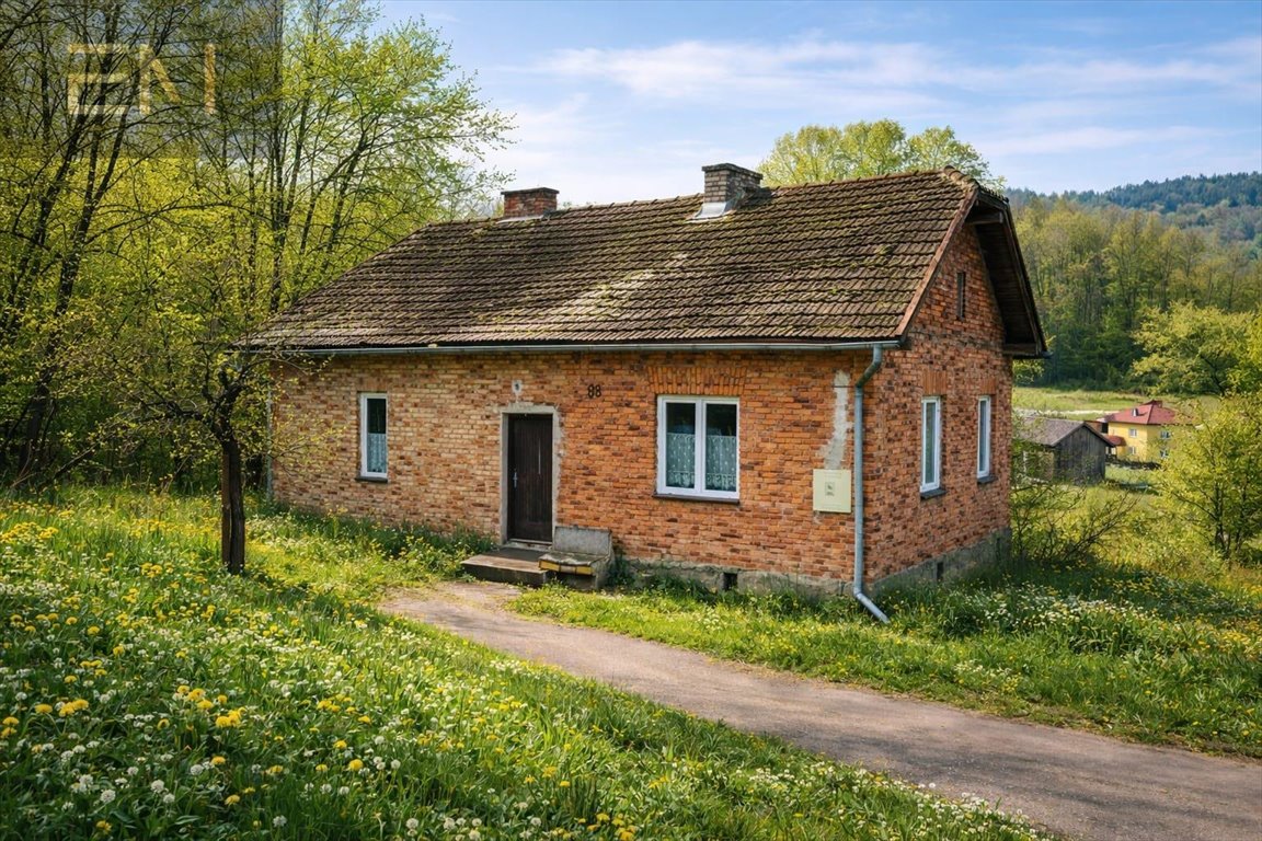 Dom 90 m2 z potencjałem, budynek gospodarczy, spokojna okolica Niepla  90m2 Foto 1