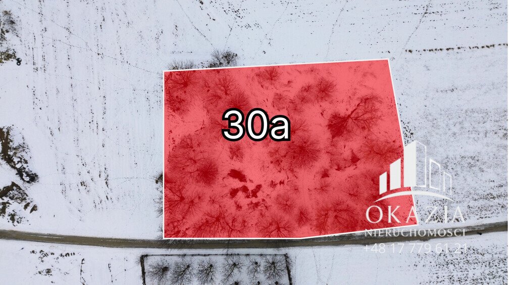 Działka 3000 m² pod dom w Zarzeczu, spokojna okolica Zarzecze  3 000m2 Foto 1