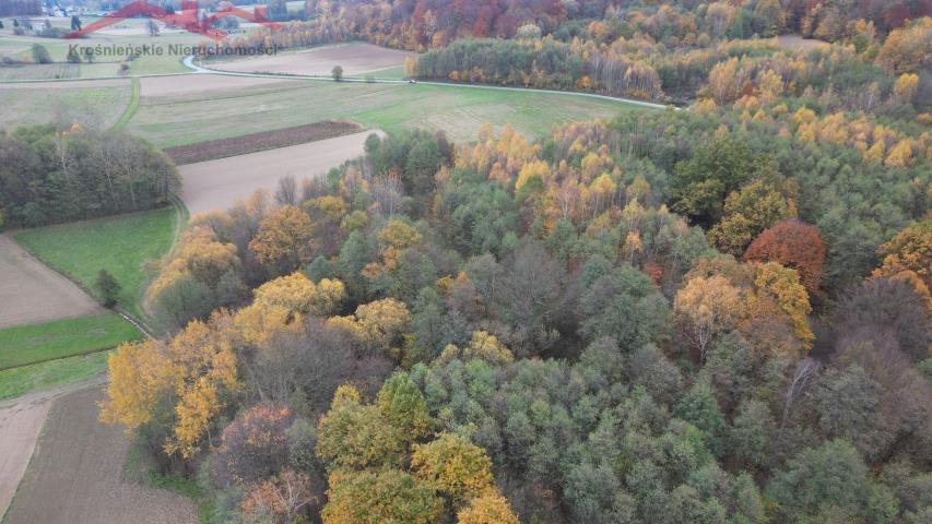 Działka leśna na sprzedaż Piotrówka  2 700m2 Foto 3