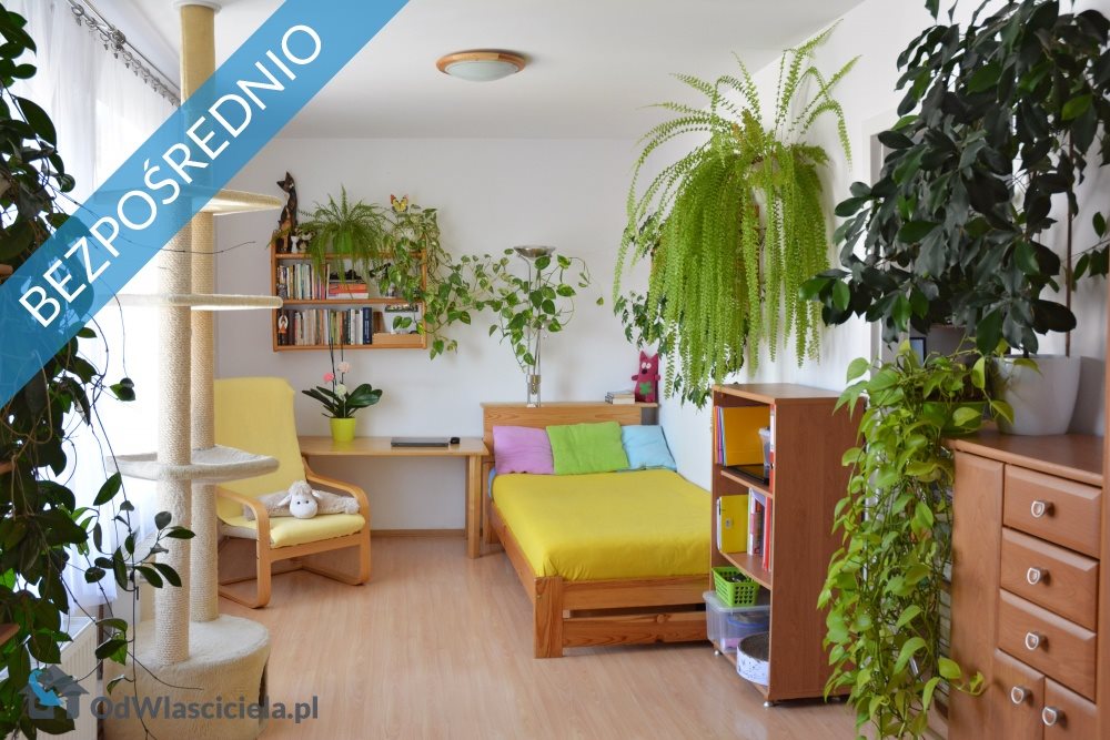 Mieszkanie trzypokojowe na sprzedaż Kostrzyn 83m2 Foto 1 Mieszkanie trzypokojowe na sprzedaż Kostrzyn 83m2 Foto 1