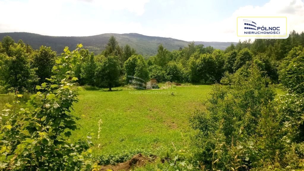 Działka budowlana na sprzedaż Kowary, Karkonoska  8 239m2 Foto 1