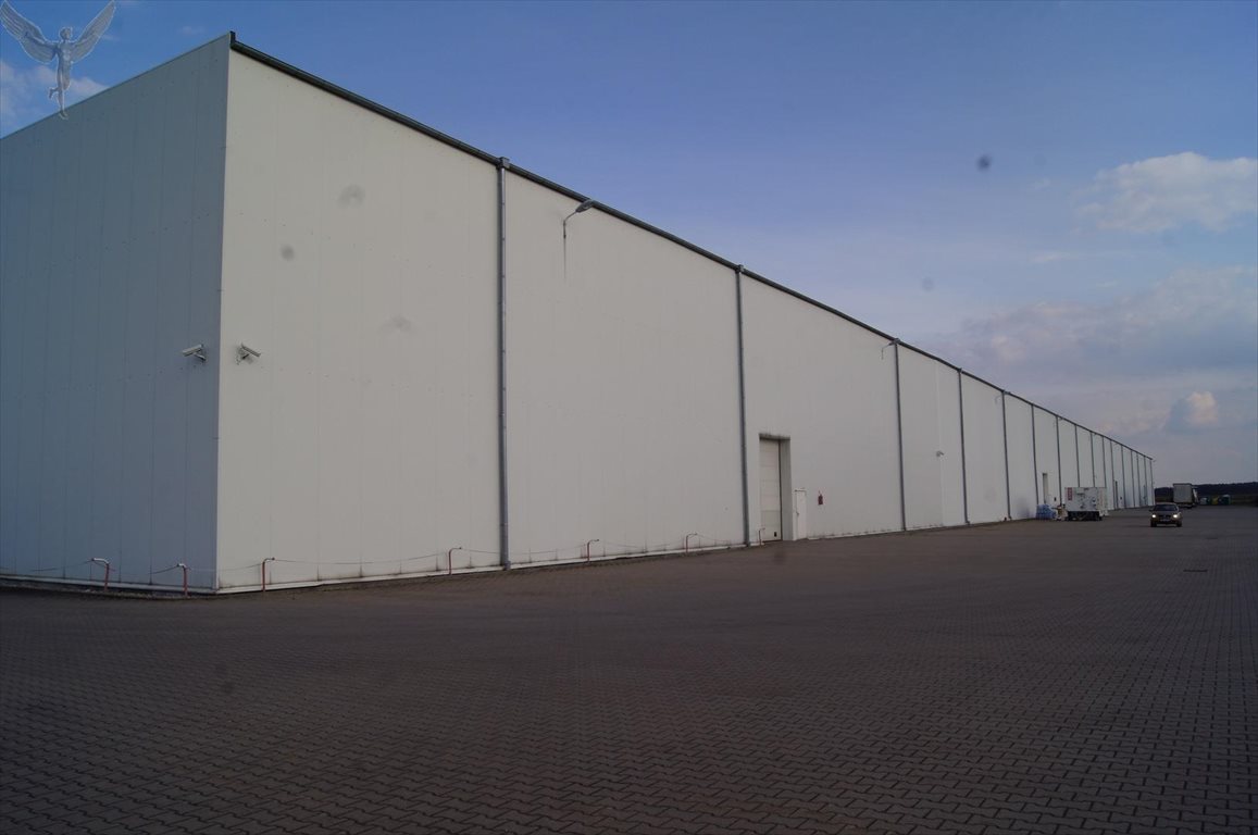 Magazyn na sprzedaż Kórnik  14 500m2 Foto 2