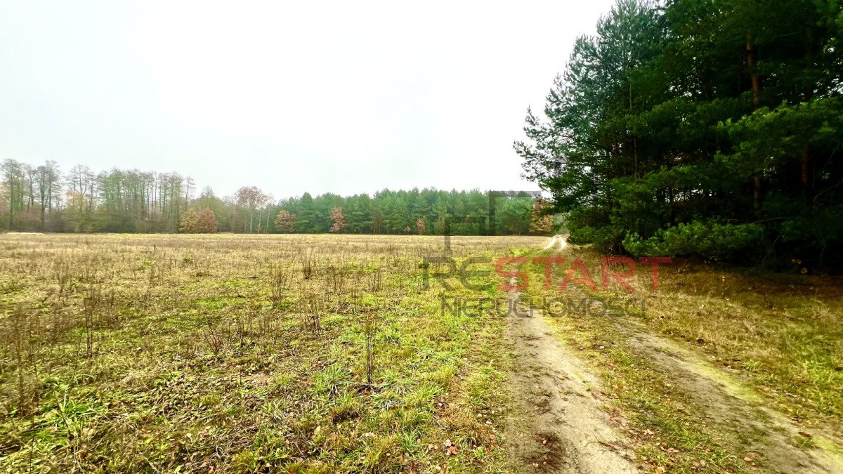 Działka budowlana na sprzedaż Puszcza Mariańska  1 200m2 Foto 1