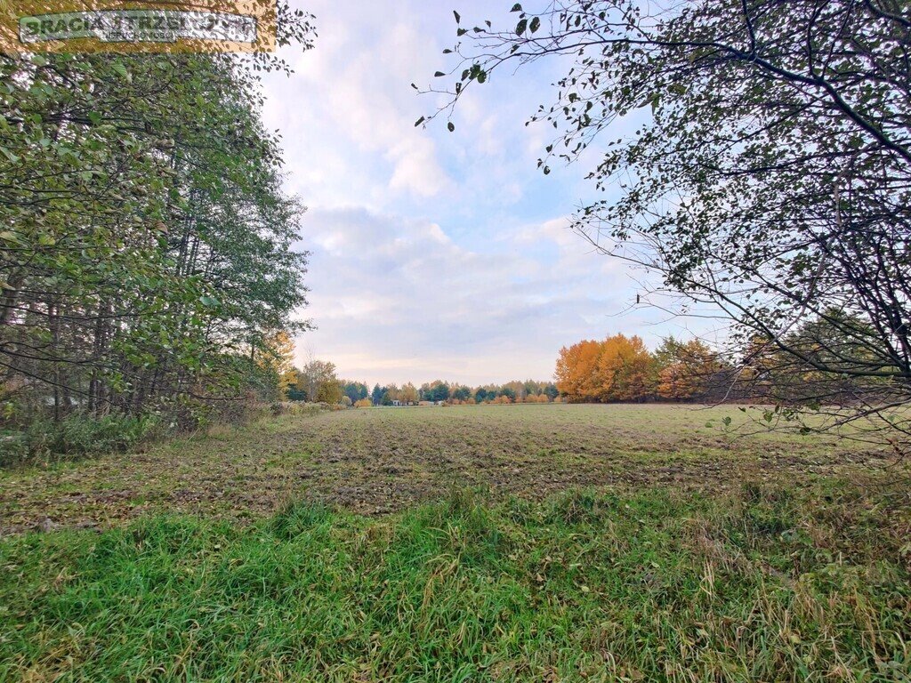 Działka budowlana na sprzedaż Słubica Dobra  1 544m2 Foto 4