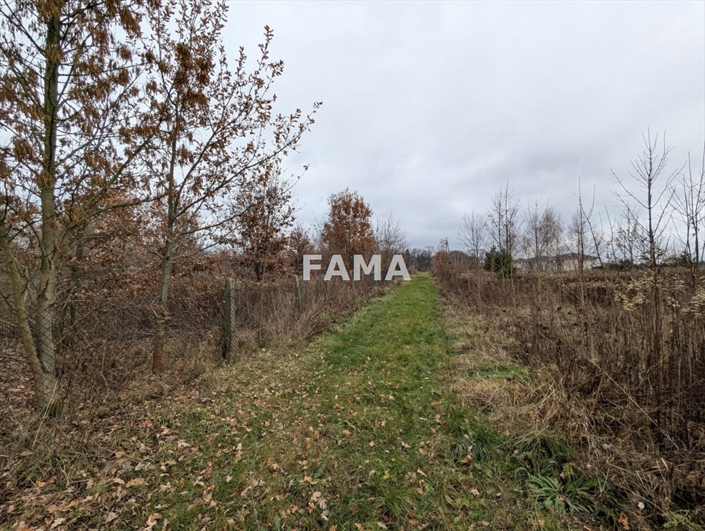 Działka budowlana na sprzedaż Szpetal Górny, Owocowa  1 500m2 Foto 3