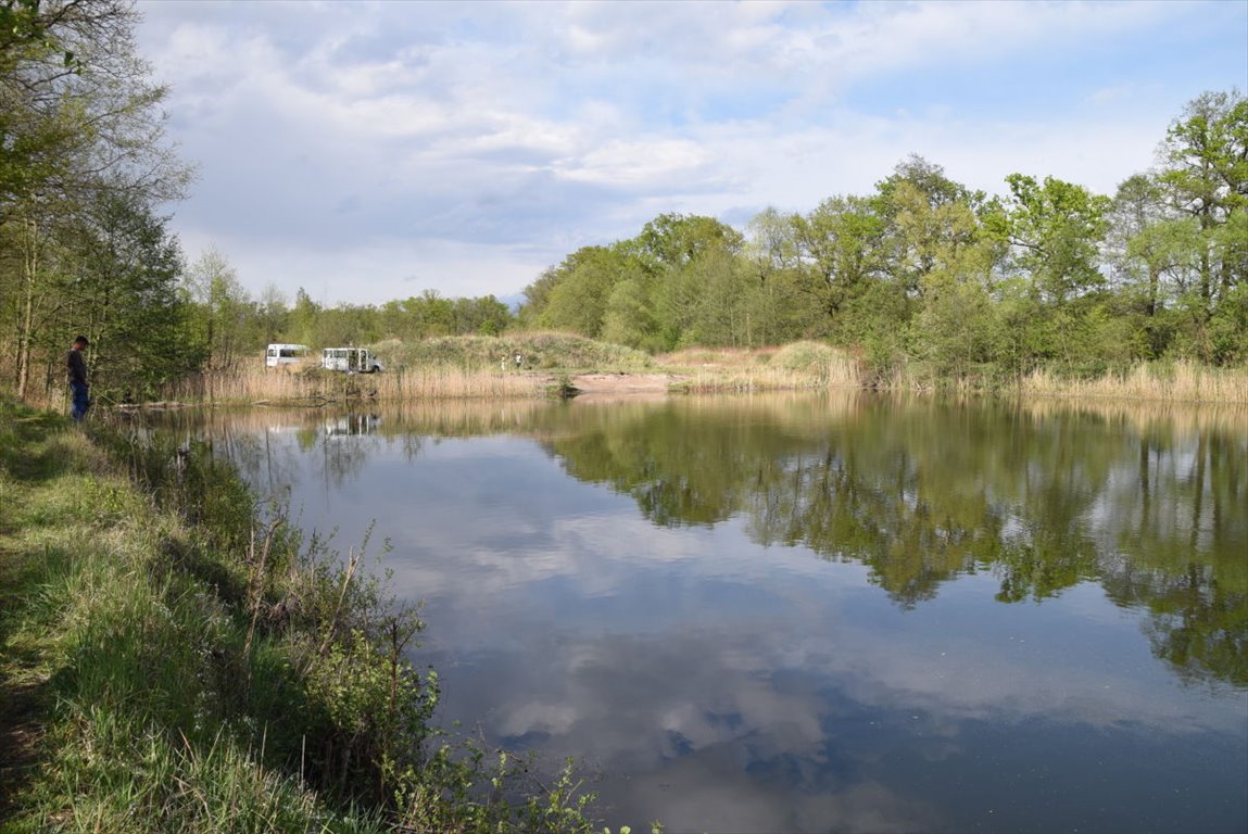 Działka rolna na sprzedaż Krzeczyn, Leśny Młyn  65 000m2 Foto 5