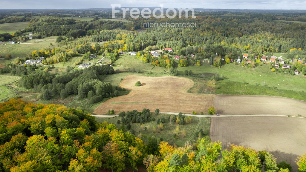 Działka budowlana na sprzedaż Klonowo Dolne, Głęboka  9 739m2 Foto 15